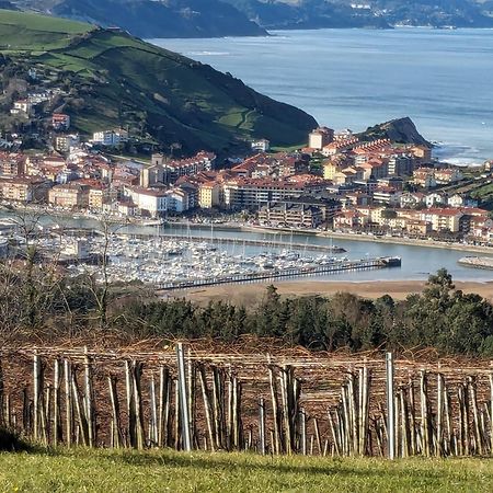 شقة Zumaia Basque Alai المظهر الخارجي الصورة