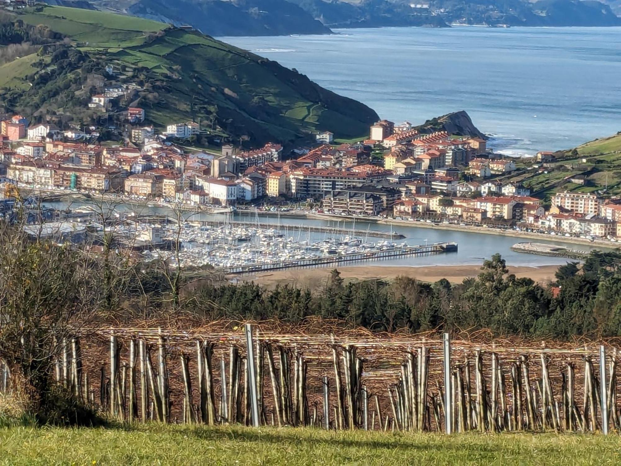 شقة Zumaia Basque Alai المظهر الخارجي الصورة